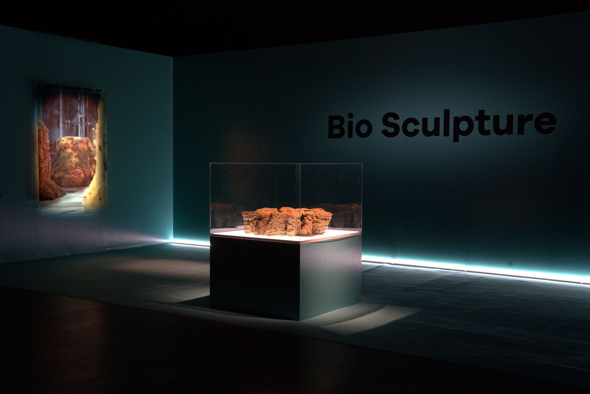 Bio Sculpture (Scene of a Future Boutique)