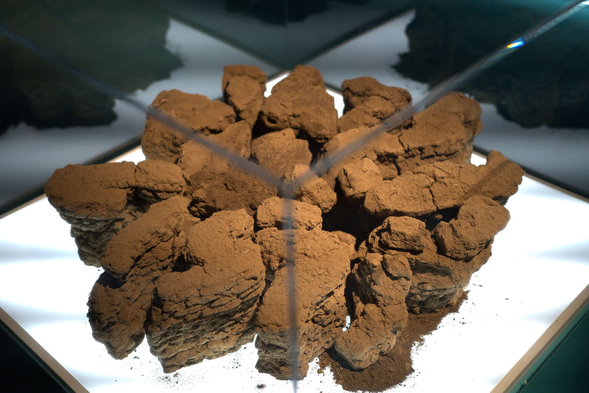 Bio Sculpture (Scene of a Future Boutique)