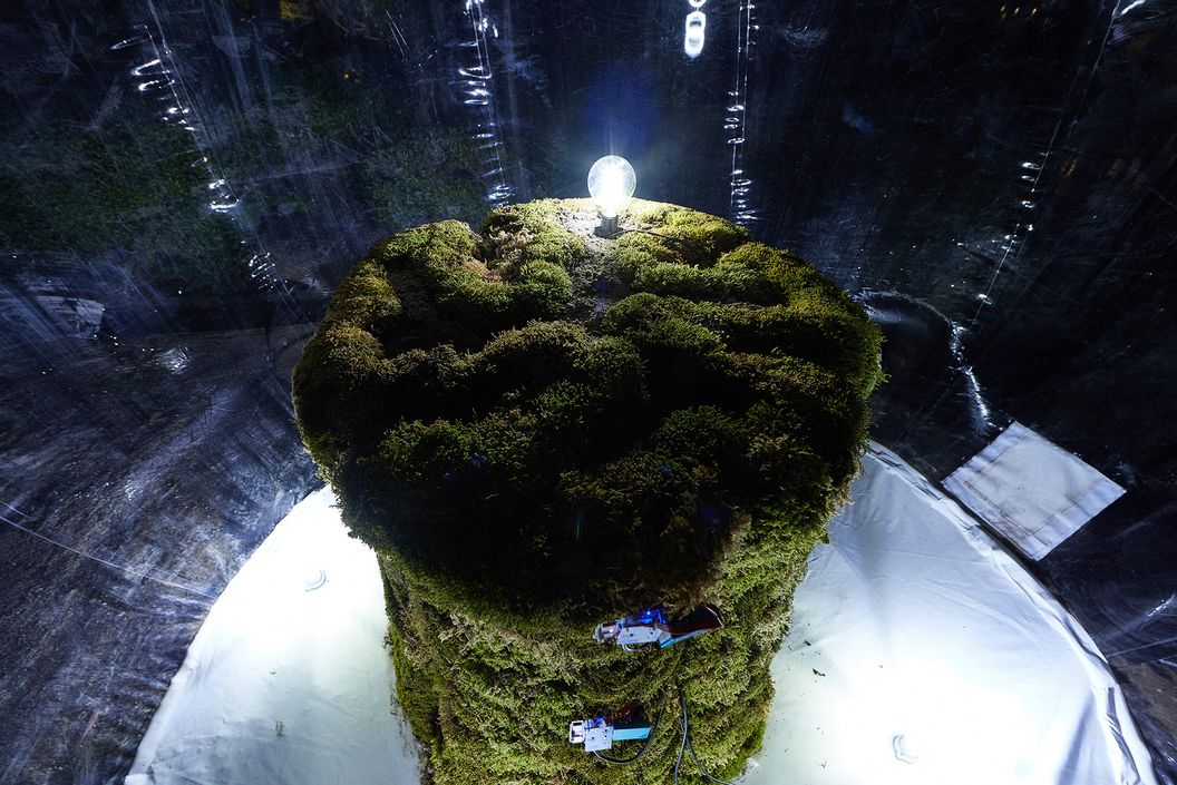 Bio Sculpture (Scene of a Future Portable Lab)